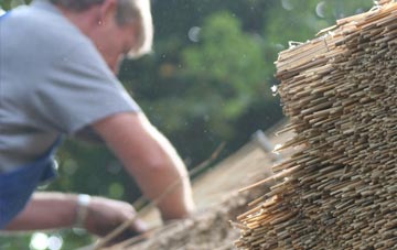 professional Lagness thatchers