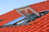 Lagness roof window