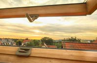 rated Lagness roof window companies